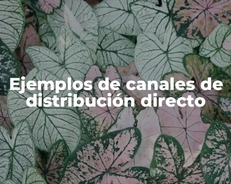 Ejemplos de canales de distribución directo