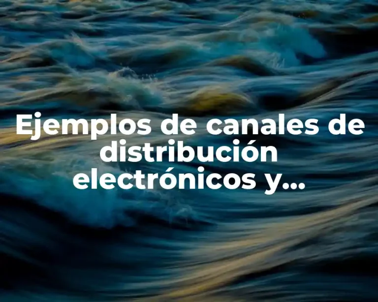 Ejemplos de canales de distribución electrónicos y Significado