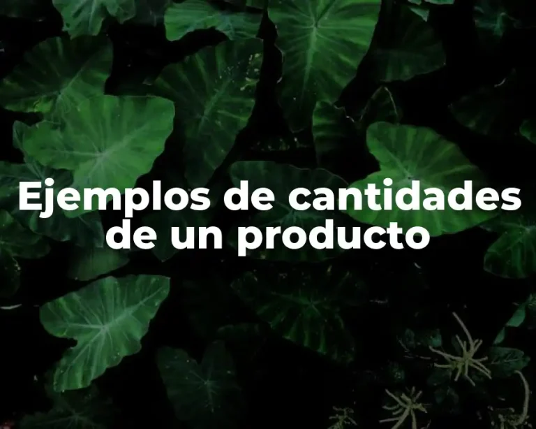 Ejemplos de cantidades de un producto
