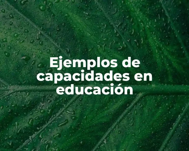 Ejemplos de capacidades en educación