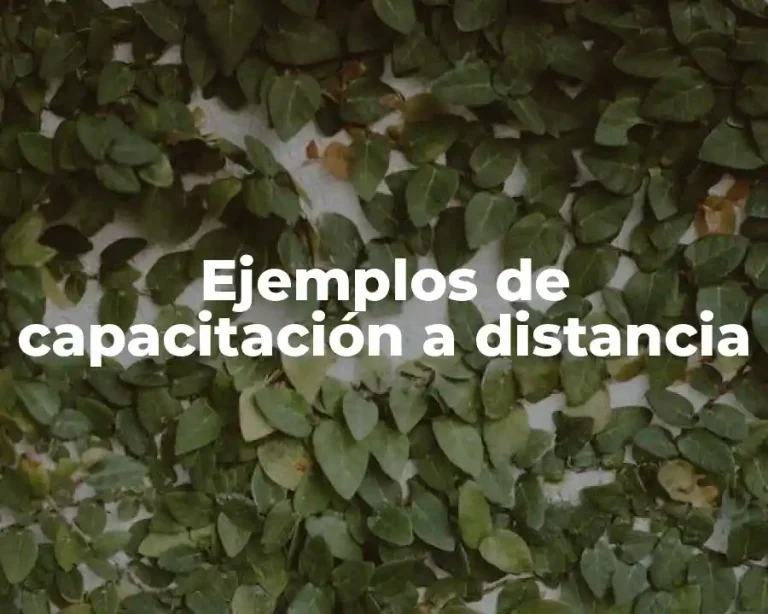 Ejemplos de capacitación a distancia