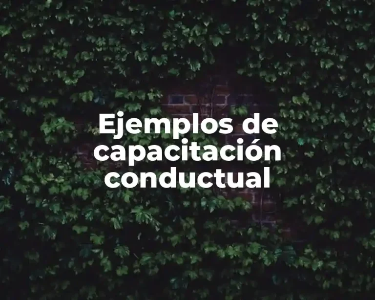 Ejemplos de capacitación conductual