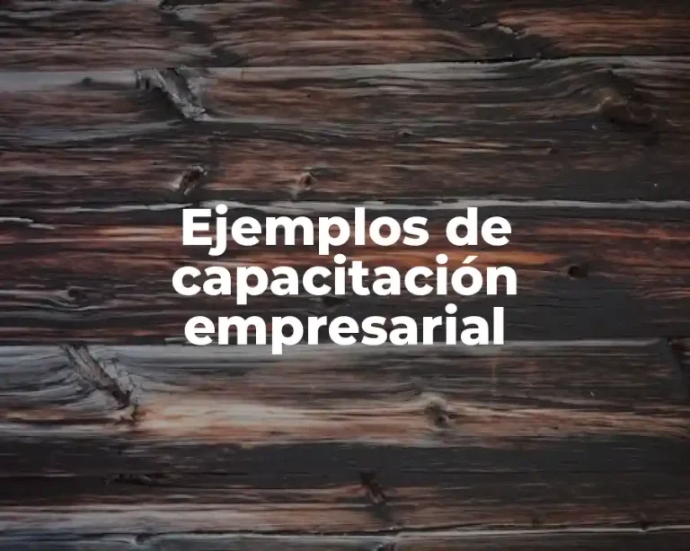Ejemplos de capacitación empresarial