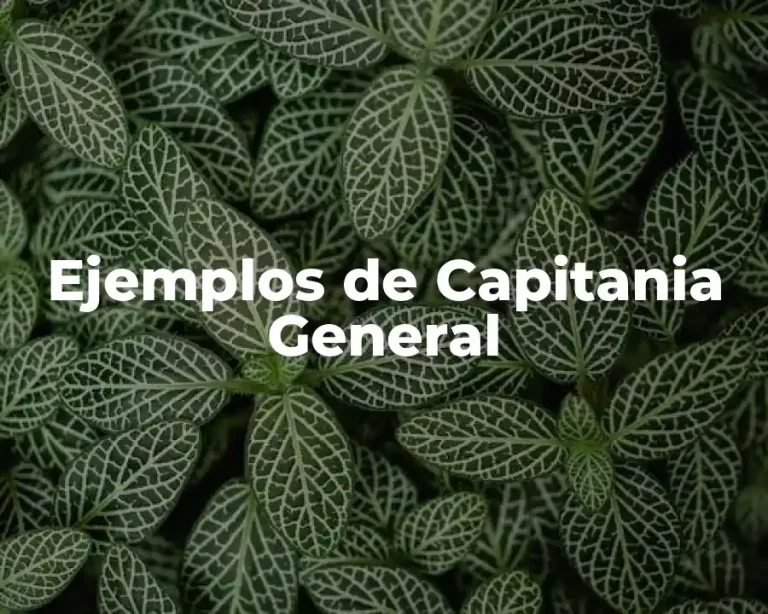 Ejemplos de Capitania General