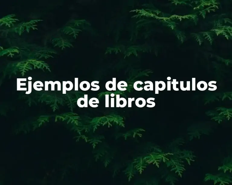 Ejemplos de capitulos de libros