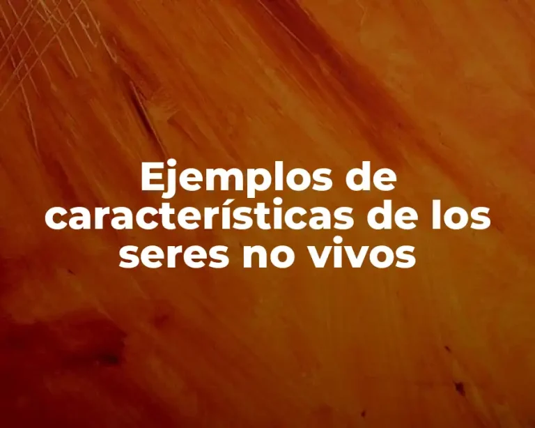 Ejemplos de características de los seres no vivos