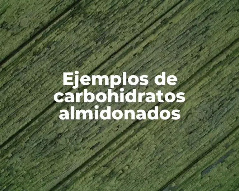 Ejemplos de carbohidratos almidonados