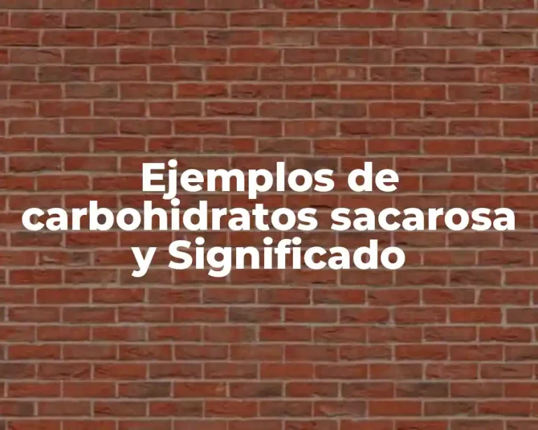 Ejemplos de carbohidratos sacarosa y Significado