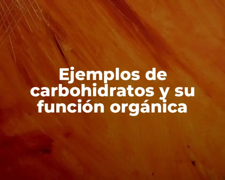 Ejemplos de carbohidratos y su función orgánica