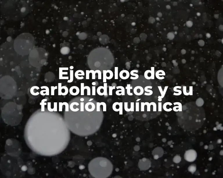 Ejemplos de carbohidratos y su función química