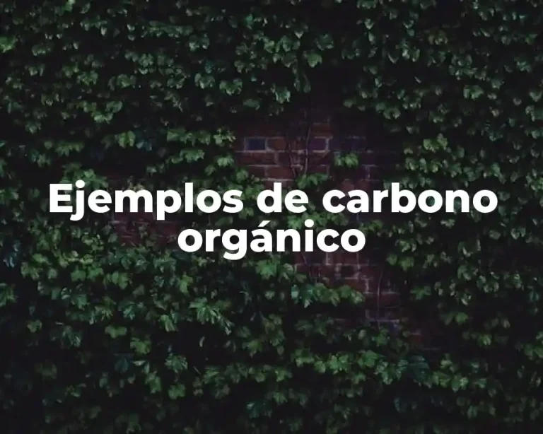 Ejemplos de carbono orgánico