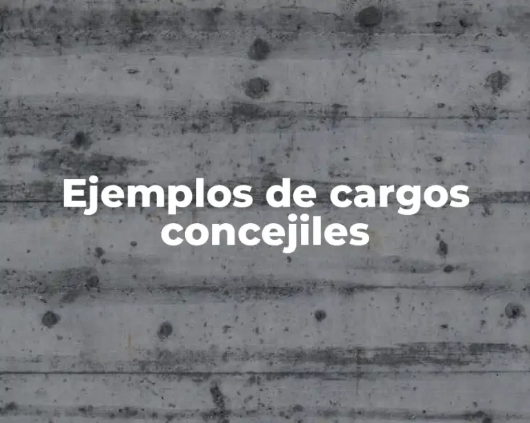 Ejemplos de cargos concejiles