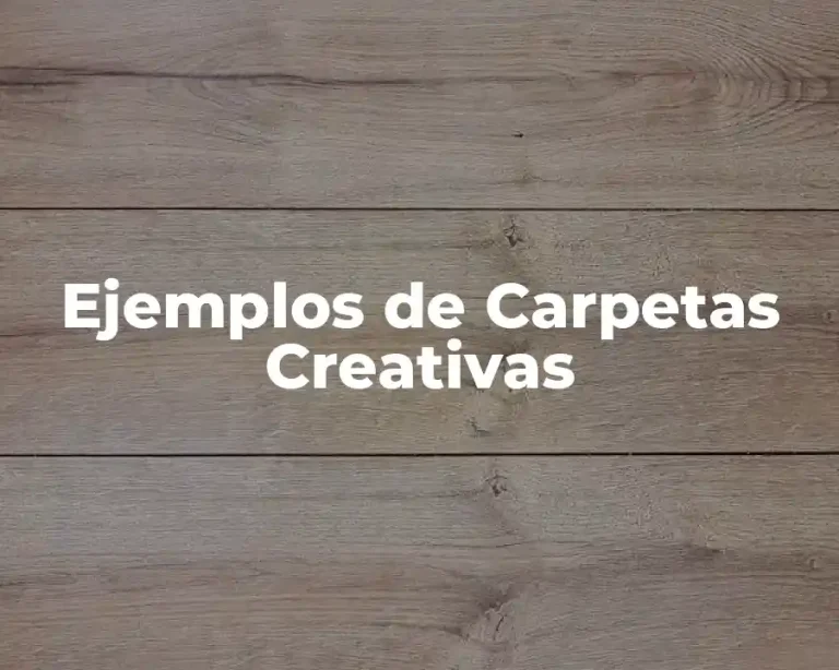 Ejemplos de Carpetas Creativas