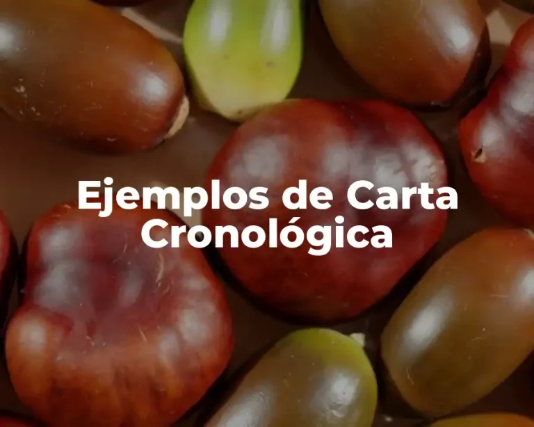 Ejemplos de Carta Cronológica
