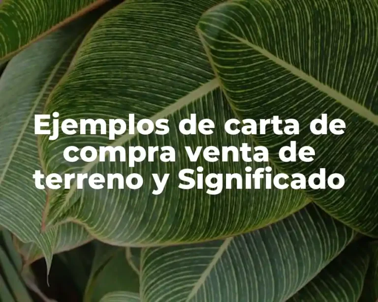 Ejemplos de carta de compra venta de terreno y Significado
