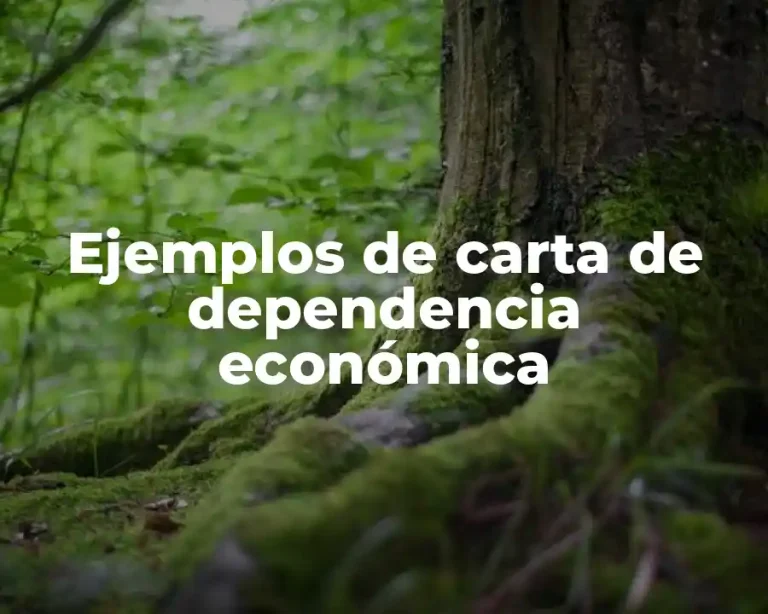 Ejemplos de carta de dependencia económica