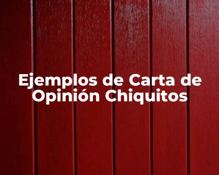 Ejemplos de Carta de Opinión Chiquitos