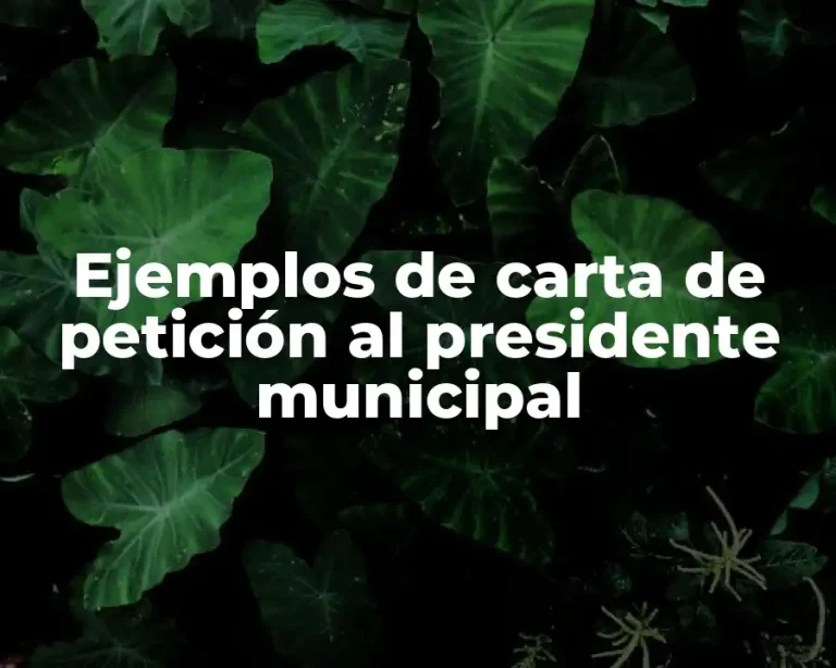 Ejemplos de carta de petición al presidente municipal