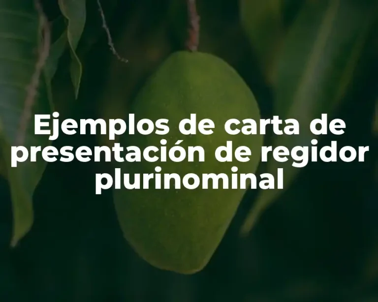 Ejemplos de carta de presentación de regidor plurinominal