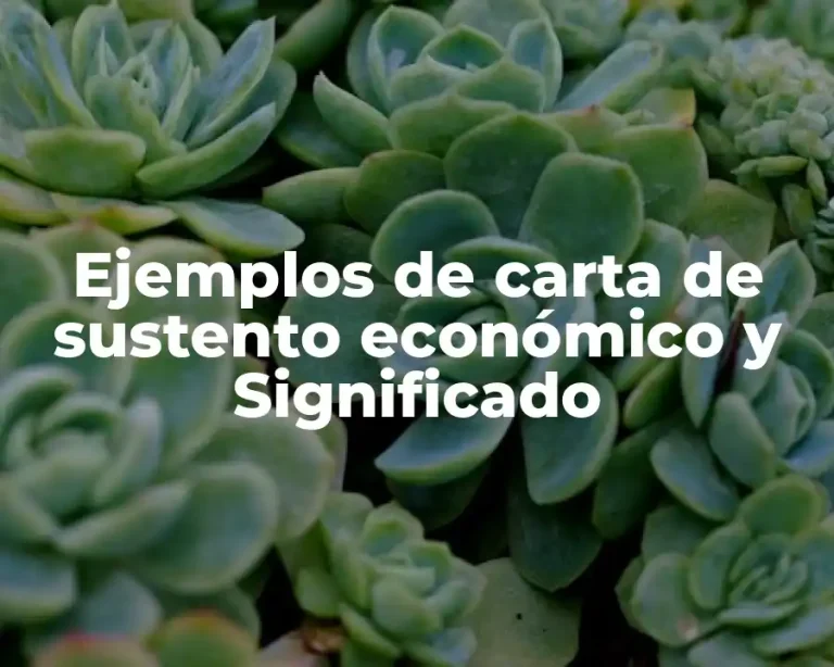 Ejemplos de carta de sustento económico y Significado