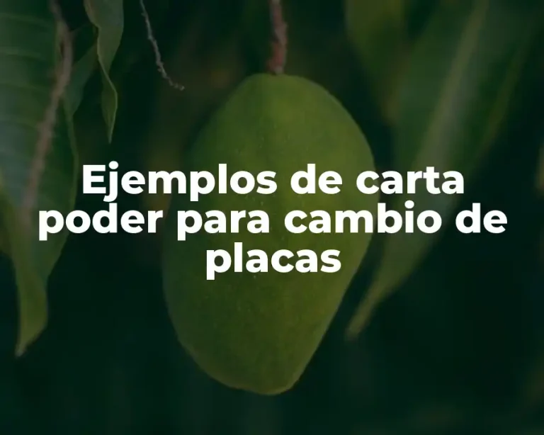 Ejemplos de carta poder para cambio de placas