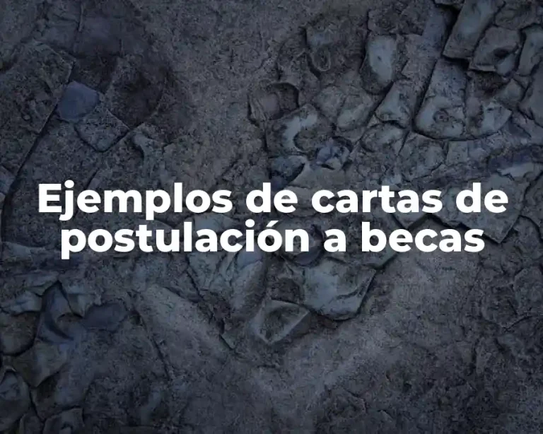 Ejemplos de cartas de postulación a becas