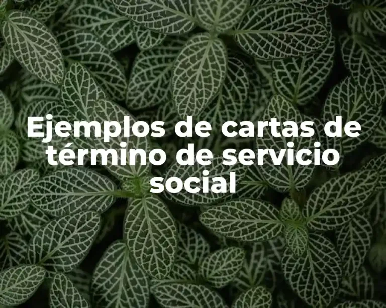 Ejemplos de cartas de término de servicio social