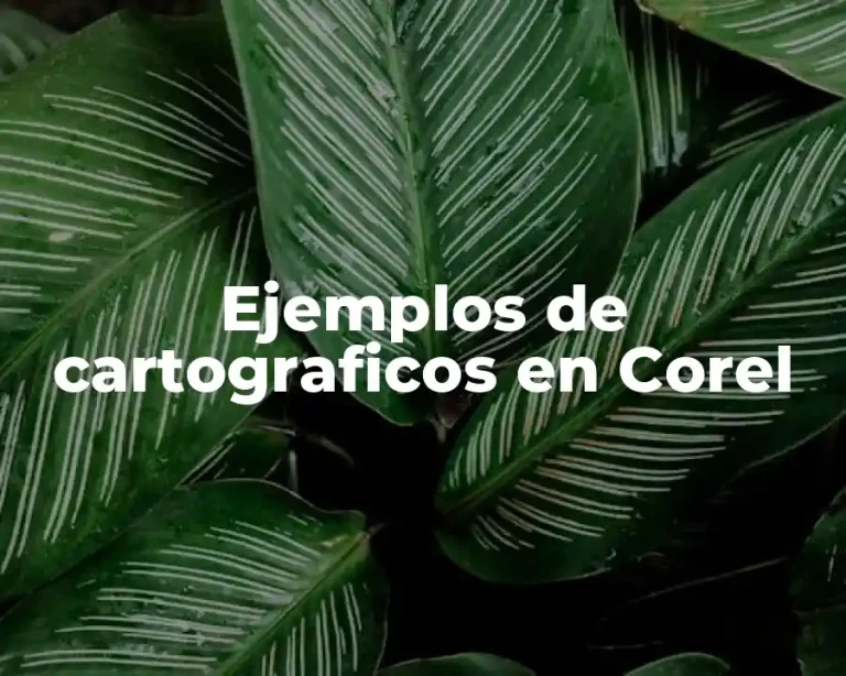 Ejemplos de cartograficos en Corel