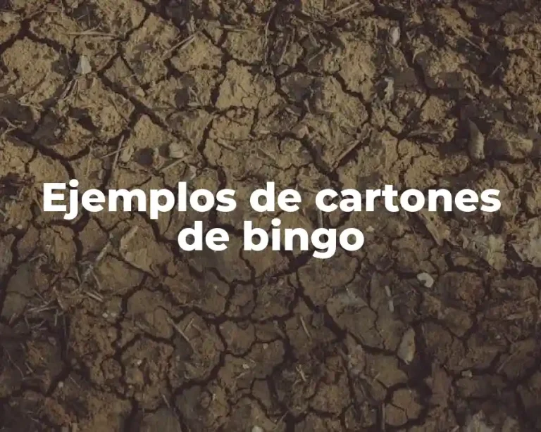 Ejemplos de cartones de bingo