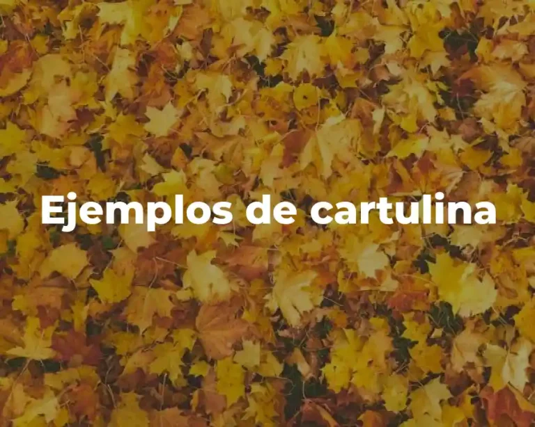 Ejemplos de cartulina