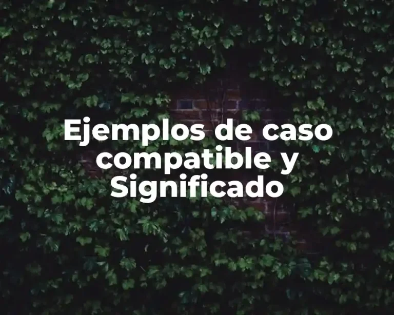 Ejemplos de caso compatible y Significado
