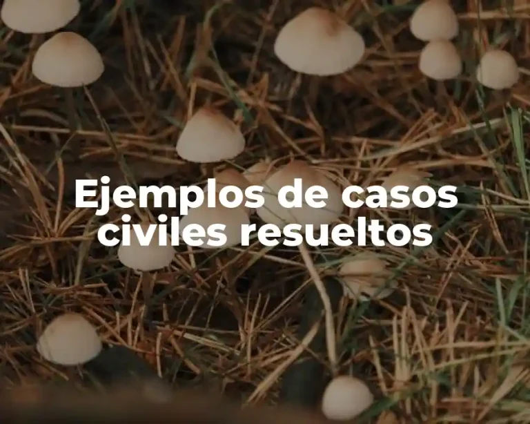 Ejemplos de casos civiles resueltos