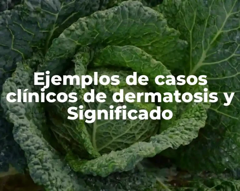 Ejemplos de casos clínicos de dermatosis y Significado