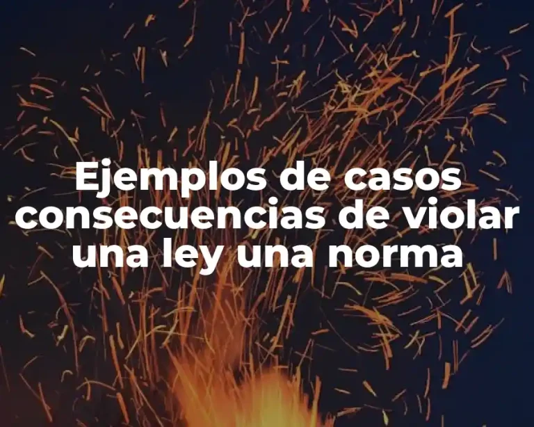 Ejemplos de casos consecuencias de violar una ley una norma