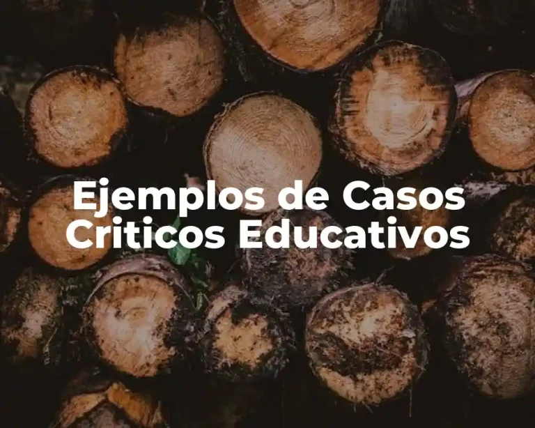 Ejemplos de Casos Criticos Educativos