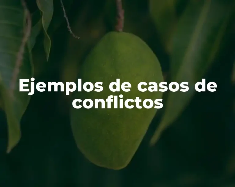 Ejemplos de casos de conflictos