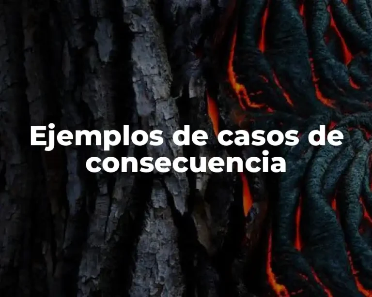 Ejemplos de casos de consecuencia