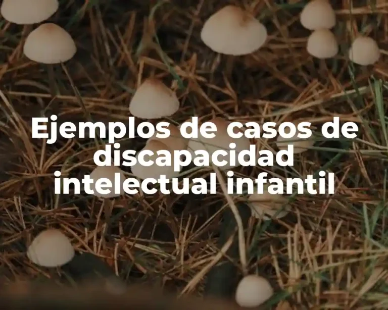 Ejemplos de casos de discapacidad intelectual infantil