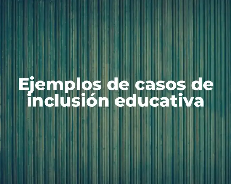 Ejemplos de casos de inclusión educativa