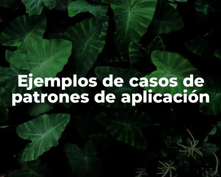 Ejemplos de casos de patrones de aplicación