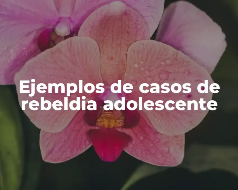 Ejemplos de casos de rebeldia adolescente