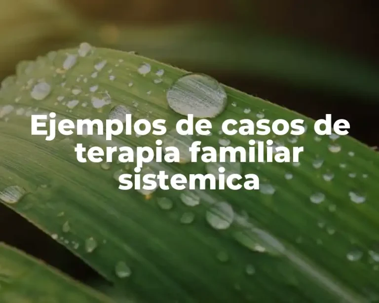 Ejemplos de casos de terapia familiar sistemica