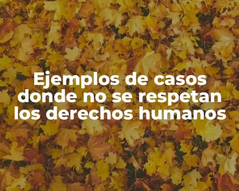Ejemplos de casos donde no se respetan los derechos humanos