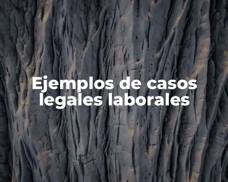Ejemplos de casos legales laborales