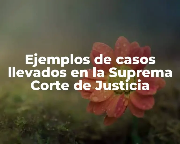Ejemplos de casos llevados en la Suprema Corte de Justicia