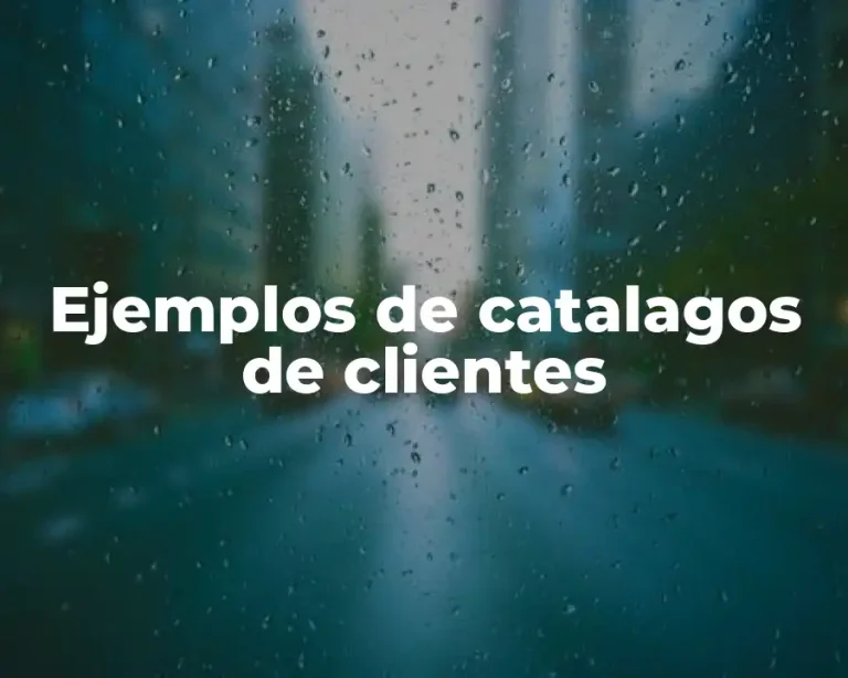 Ejemplos de catalagos de clientes