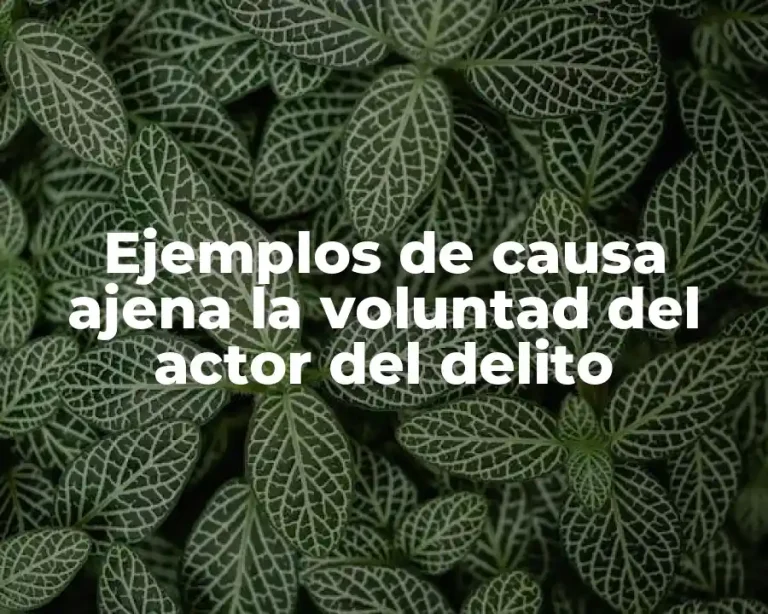 Ejemplos de causa ajena la voluntad del actor del delito