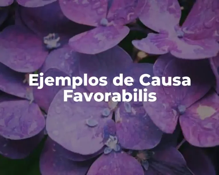 Ejemplos de Causa Favorabilis