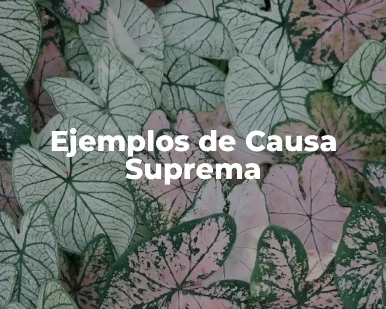 Ejemplos de Causa Suprema