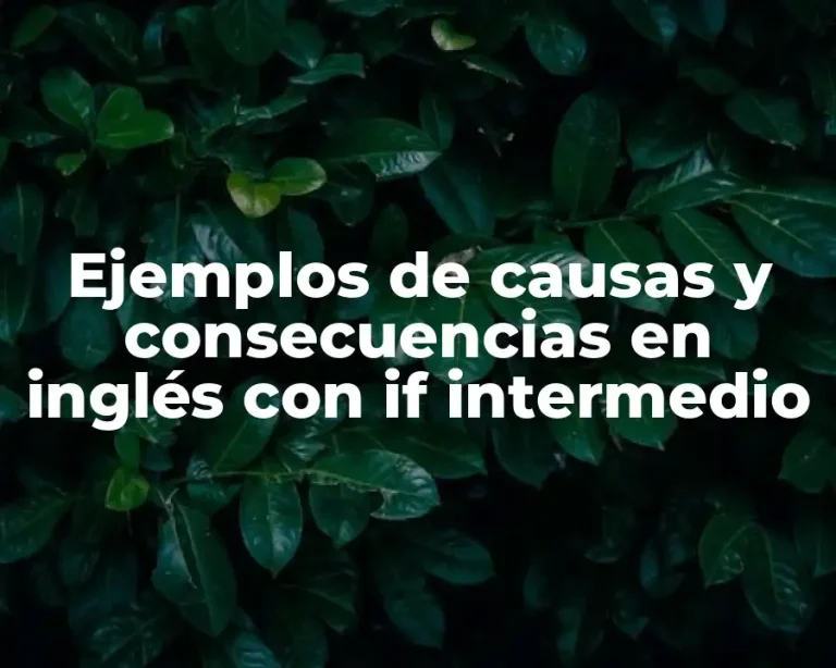 Ejemplos de causas y consecuencias en inglés con if intermedio
